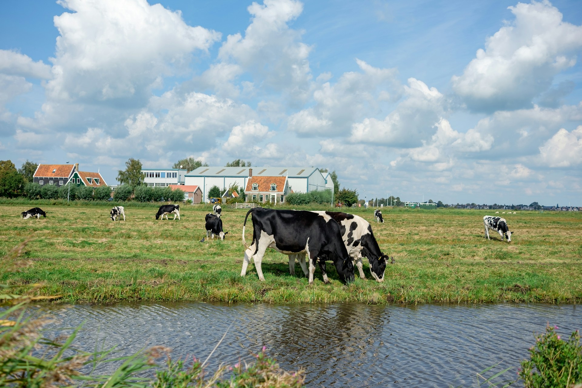 Walking the Pieterpad: Long-Distance Hiking in the Dutch Countryside